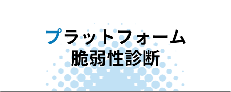 プラットフォーム脆弱性診断