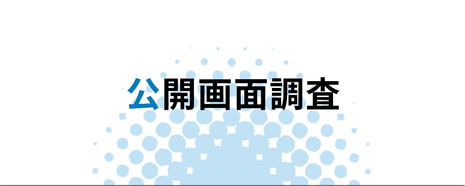 公開画面調査